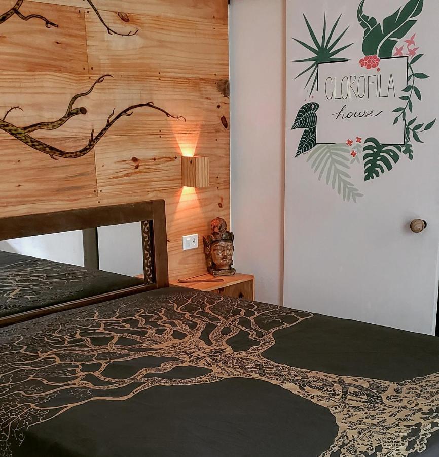Clorofila House Glamping Naturista Ubatuba Exterior foto