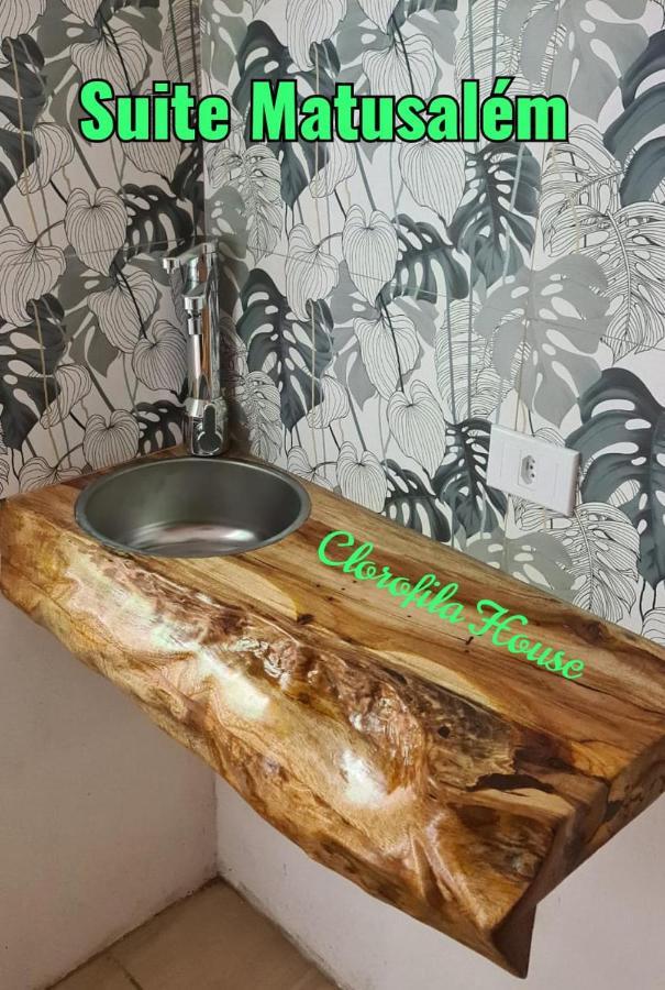 Clorofila House Glamping Naturista Ubatuba Exterior foto